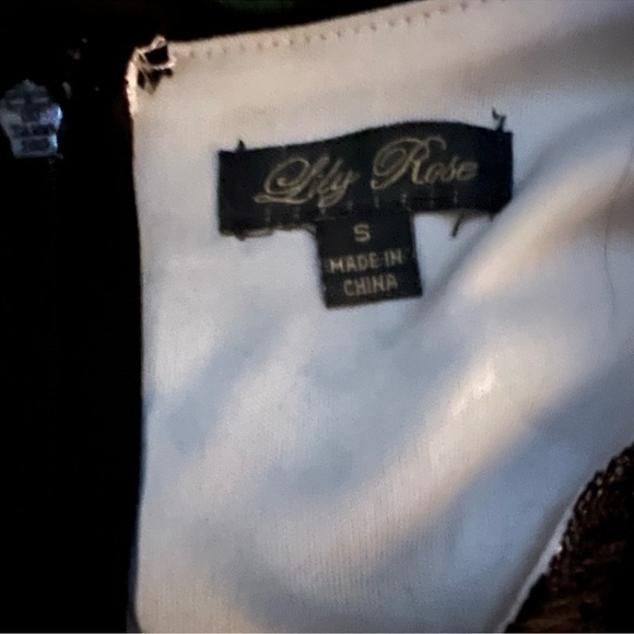 🌻5 for $20🌻 Lily Rose Sheer Lace Dress - Picture 3 of 3